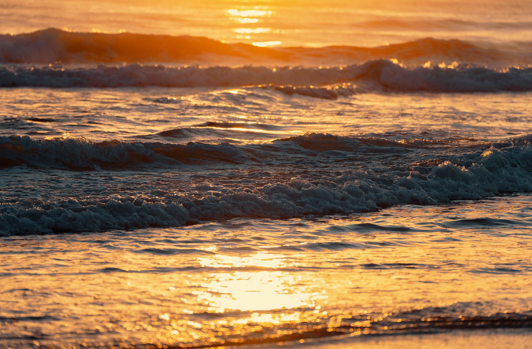 Coastal Living in the Heart of Palm Beach | Enquiries Now Open